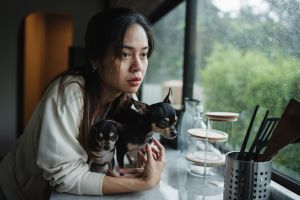 Mujer asiática mirando la lluvia por la ventana con dos perros en brazos