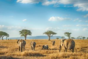 ARAG_Cinco destinos para viajar con niños_3