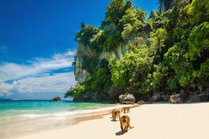 Consejos para viajar a Tailandia
